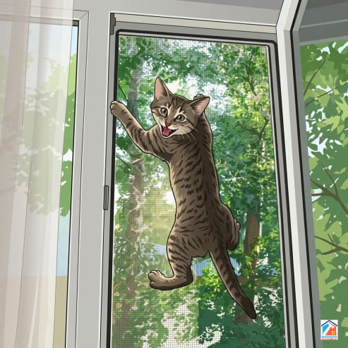 москитные сетки антикошка